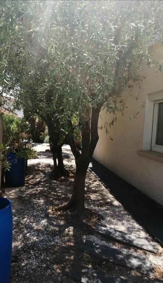Apartamento Majopau Boujan-sur-Libron Exterior foto